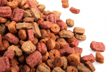 pet foodの写真素材
