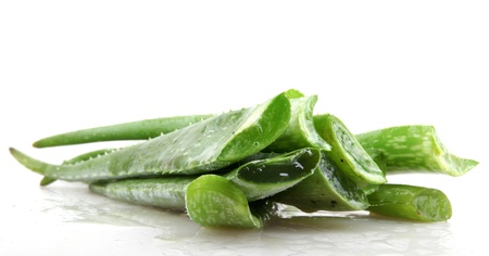 aloe veraの写真素材