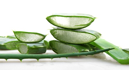 Aloe veraの写真素材