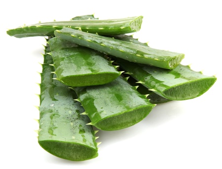 Aloe vera plant isolated on whiteの写真素材