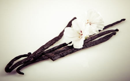 Vanilla Bean And Flowerの写真素材