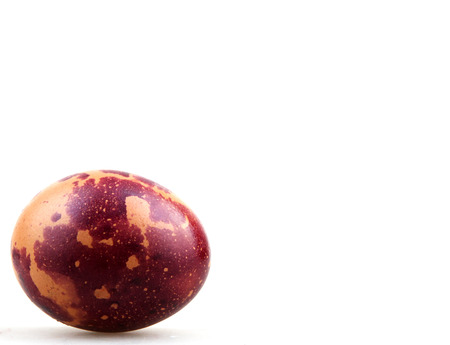 Easter Eggの写真素材