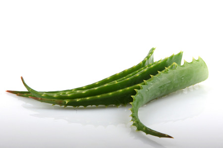 aloe veraの写真素材
