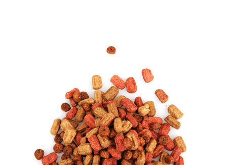 pet food isolated on whiteの写真素材