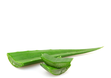 Aloe vera plant isolated on white.の写真素材