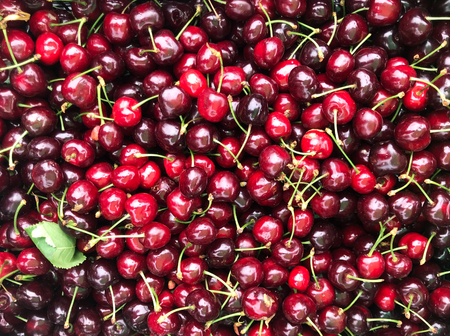 fresh red cherries