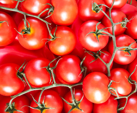 Red cherry tomatoesの写真素材