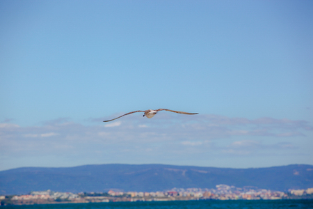Beautiful sea view from Pomorie, Bulgaria.の写真素材