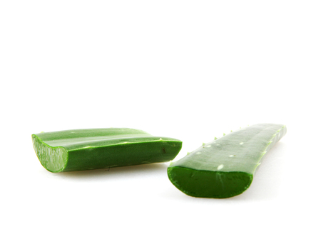 Aloe Vera Plant Isolated On Whiteの写真素材