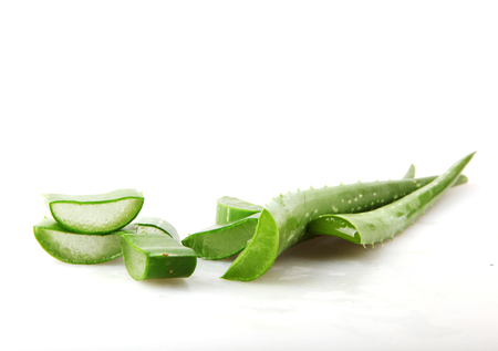 Aloe Vera On Whiteの写真素材