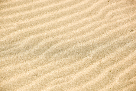Sand  Textureの写真素材