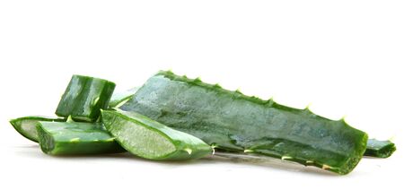 Aloe veraの写真素材