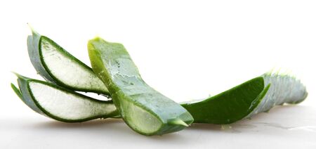 Aloe vera.の写真素材