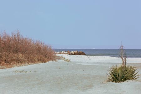 Beach and sea in bright sunlightの写真素材