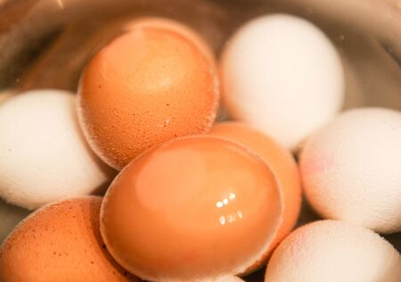 Boiled farm fresh shell eggs の写真素材