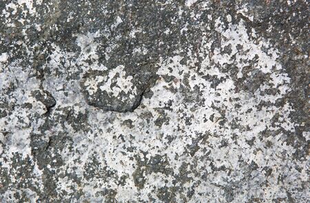 Stone texture in soft sunlight in springtime