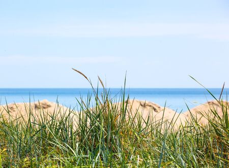 Beautiful dunes by the sea in summer