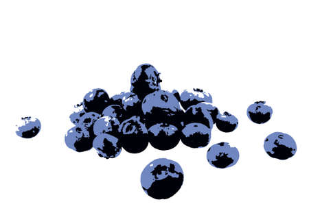 Blueberry isolated on white background. Blueberries are perennial flowering plants with blue or...