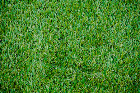 green grass vintage backgroundの写真素材