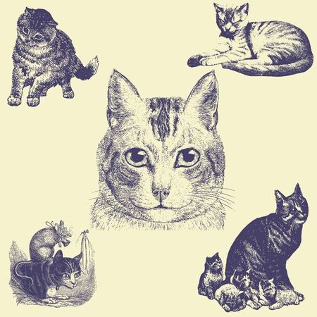 old vintage illustrationのイラスト素材