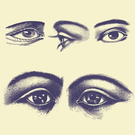 old vintage illustrationのイラスト素材