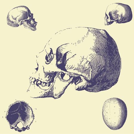 old vintage illustrationのイラスト素材