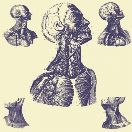 old vintage illustrationのイラスト素材