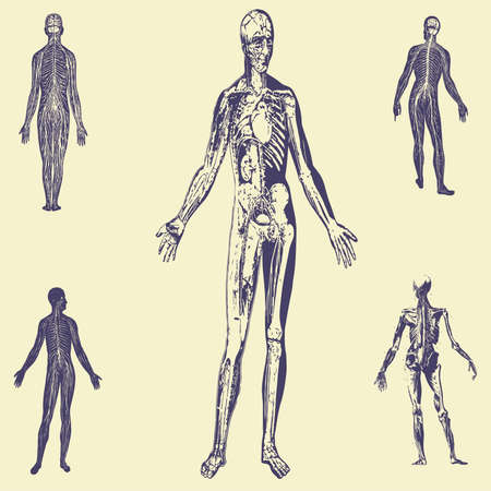 sets old vintage illustrationのイラスト素材