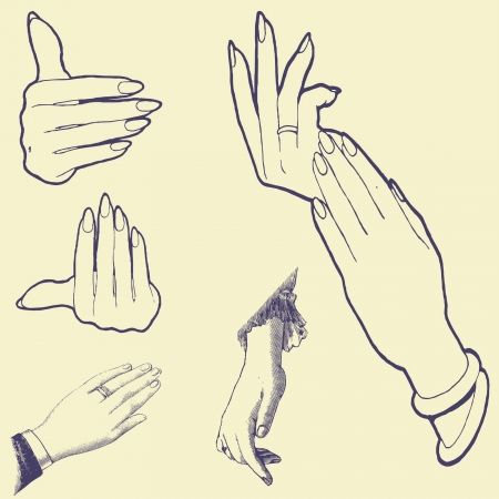 sets old vintage illustrationのイラスト素材