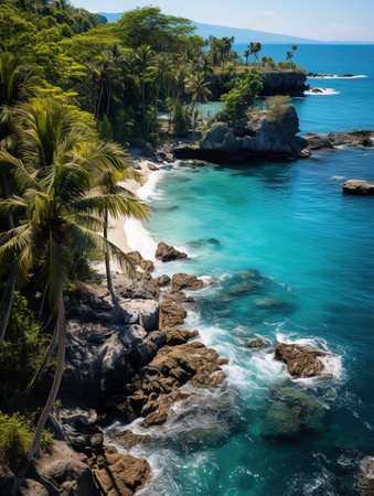 tropical beach with palm trees and rocks on the seashoreの素材