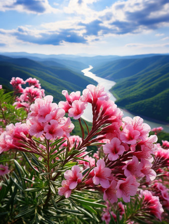 Rhododendron flowers blooming on the background of mountainsの素材
