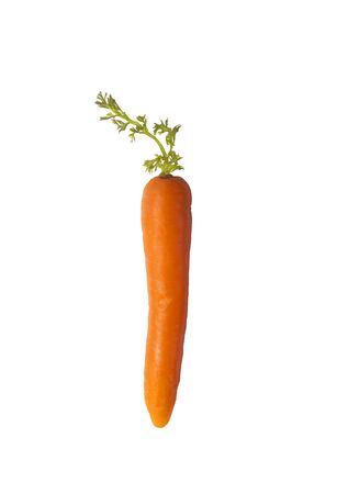 Perfect Carrotのeditorial素材
