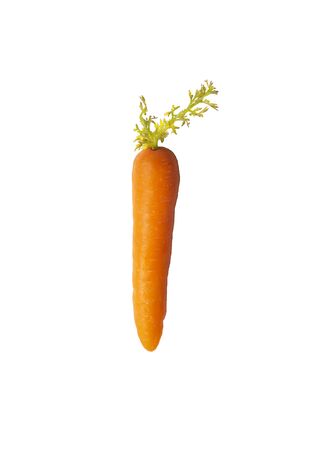 Perfect Carrotのeditorial素材