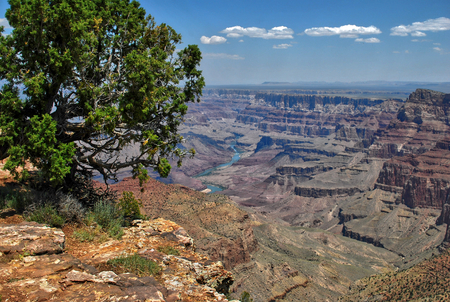panoramic view of grand canyon and colorado river, arizona, usaの写真素材