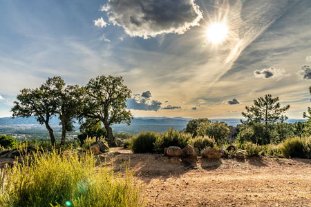panoramic view on valley of roquebrune sure agens and frejus with cote d'azur, franceの写真素材
