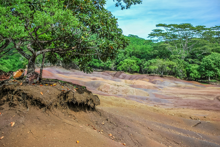 view on Seven Coloured Earth on Chamarel, Mauritius islandの写真素材