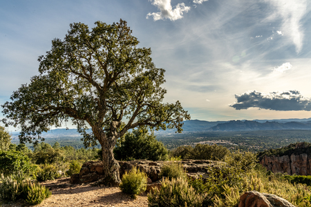 panoramic view on valley of roquebrune sure agens and frejus with cote d'azur, franceの写真素材