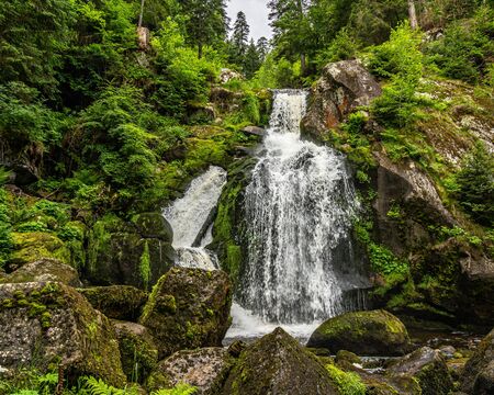 the waterfall cascade of triberg in the black forest, germanyの写真素材