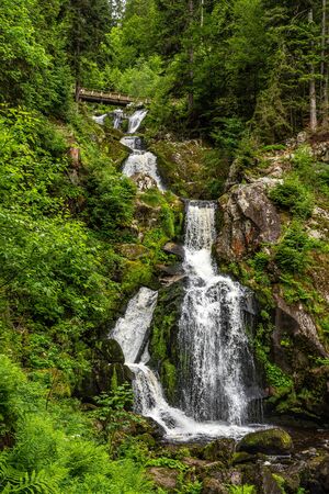 the waterfall cascade of triberg in the black forest, germanyの写真素材