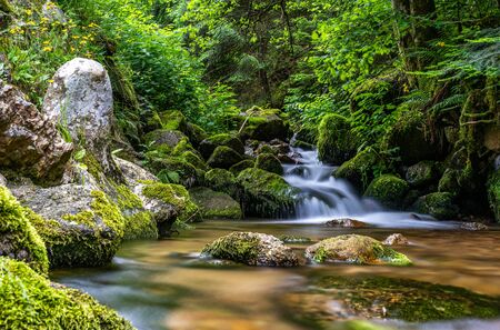 long exposure shot of a tiny waterfall in black forest, germanyの写真素材