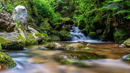 long exposure shot of a tiny waterfall in black forest, germanyの写真素材