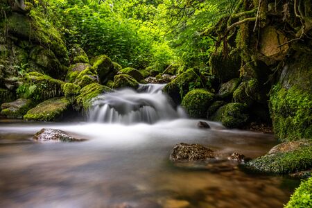 long exposure shot of a tiny waterfall in black forest, germanyの写真素材