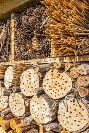 Close-up of insect hotel for wild bees and other insects made of natural eco materials (cones, wood, sticks, hay, straw and bark)の写真素材