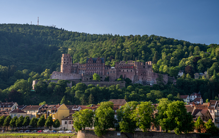 view on Heidelberg castle ruins and river neckar in front, germanyのeditorial素材