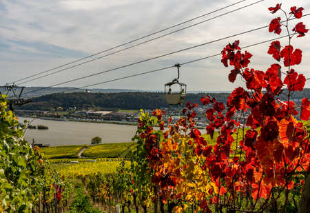 view on Cable car to Niederwald Monument rhine during fall in ruedesheim, middle rhine valley, germanyの写真素材
