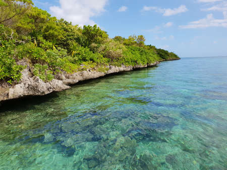 ile aux aigrettes with view on lion mountain on mauritius islandの写真素材