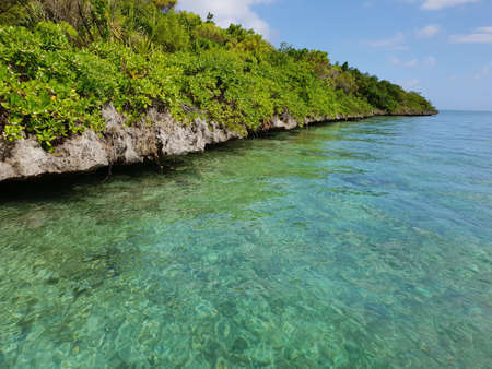 ile aux aigrettes with view on lion mountain on mauritius islandの写真素材