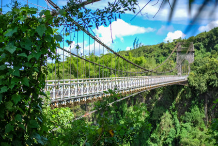 suspended bridge on la reunion islandの写真素材