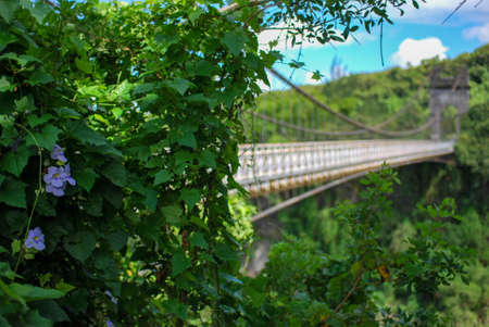 suspended bridge on la reunion islandの写真素材