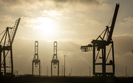 hamburg harbor cranes that look like giraffes, germanyの写真素材